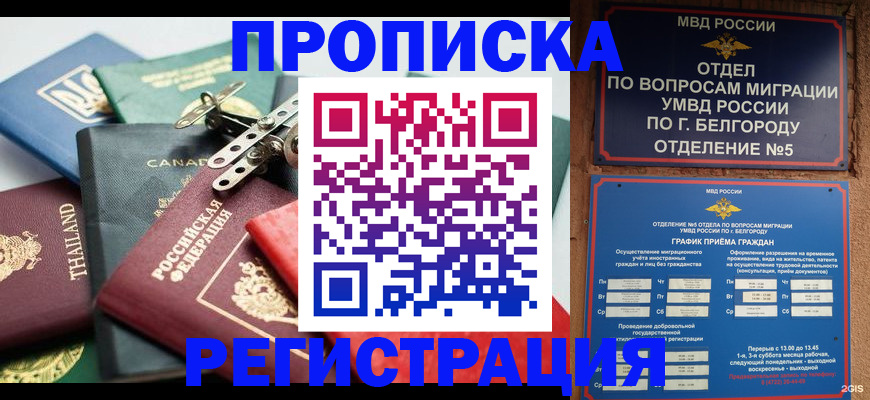 временная регистрация недорого в Палласовке